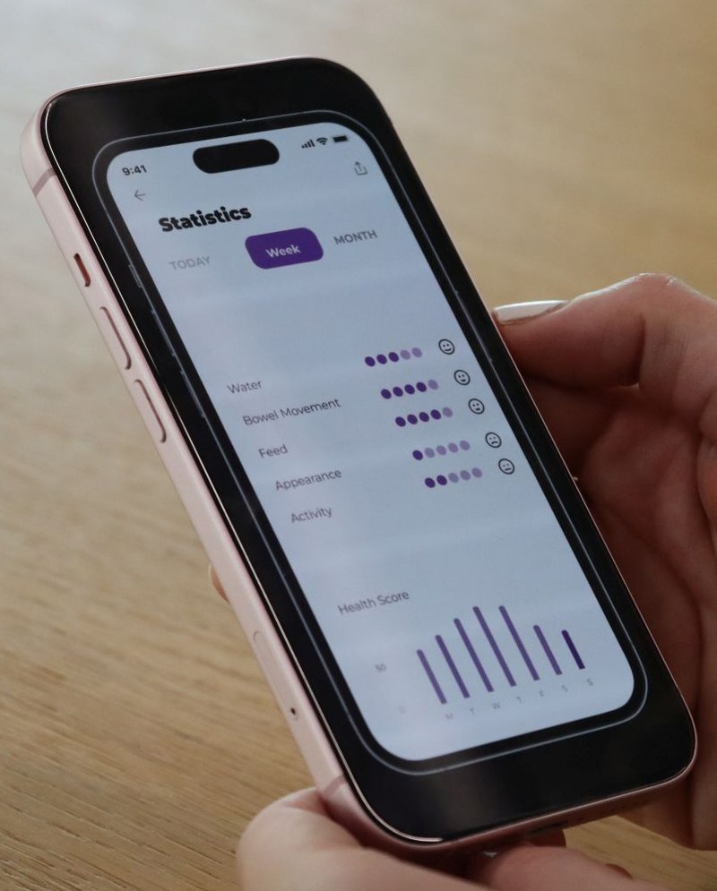 Screenshot der AI-Tails-App mit einem Bild einer Katze, bei der die App den Gesundheitszustand erkennt.