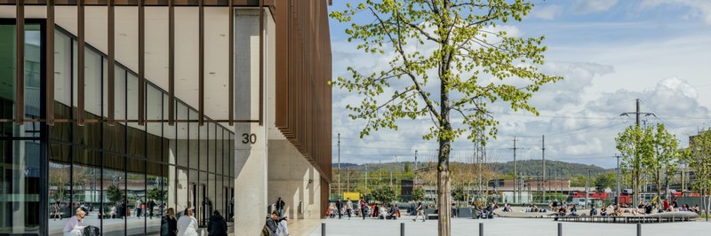 Fenster und Fenstertüren Header.jpg