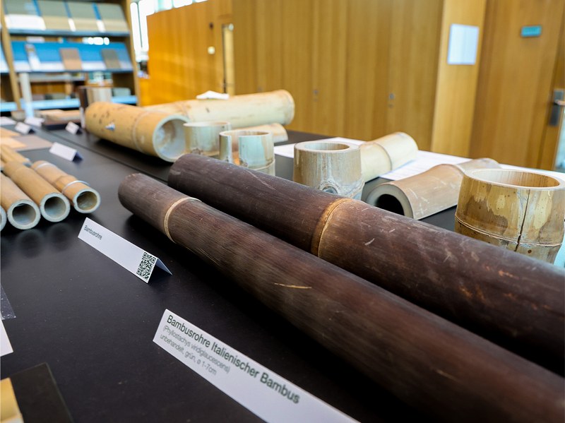 IArch-Bambus-03.jpg