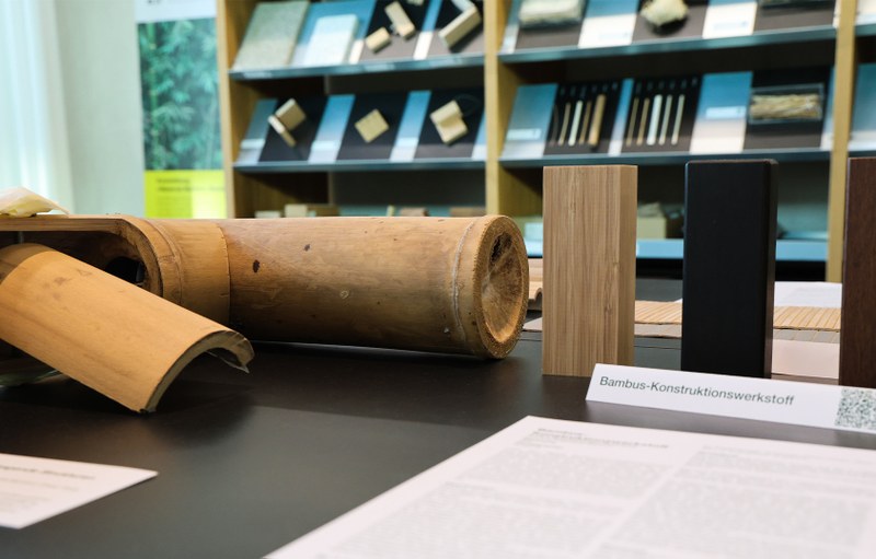 IArch-Bambus-06.jpg