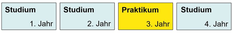 PiBS Bauingenieurwesen - Praktikum im 3. Jahr