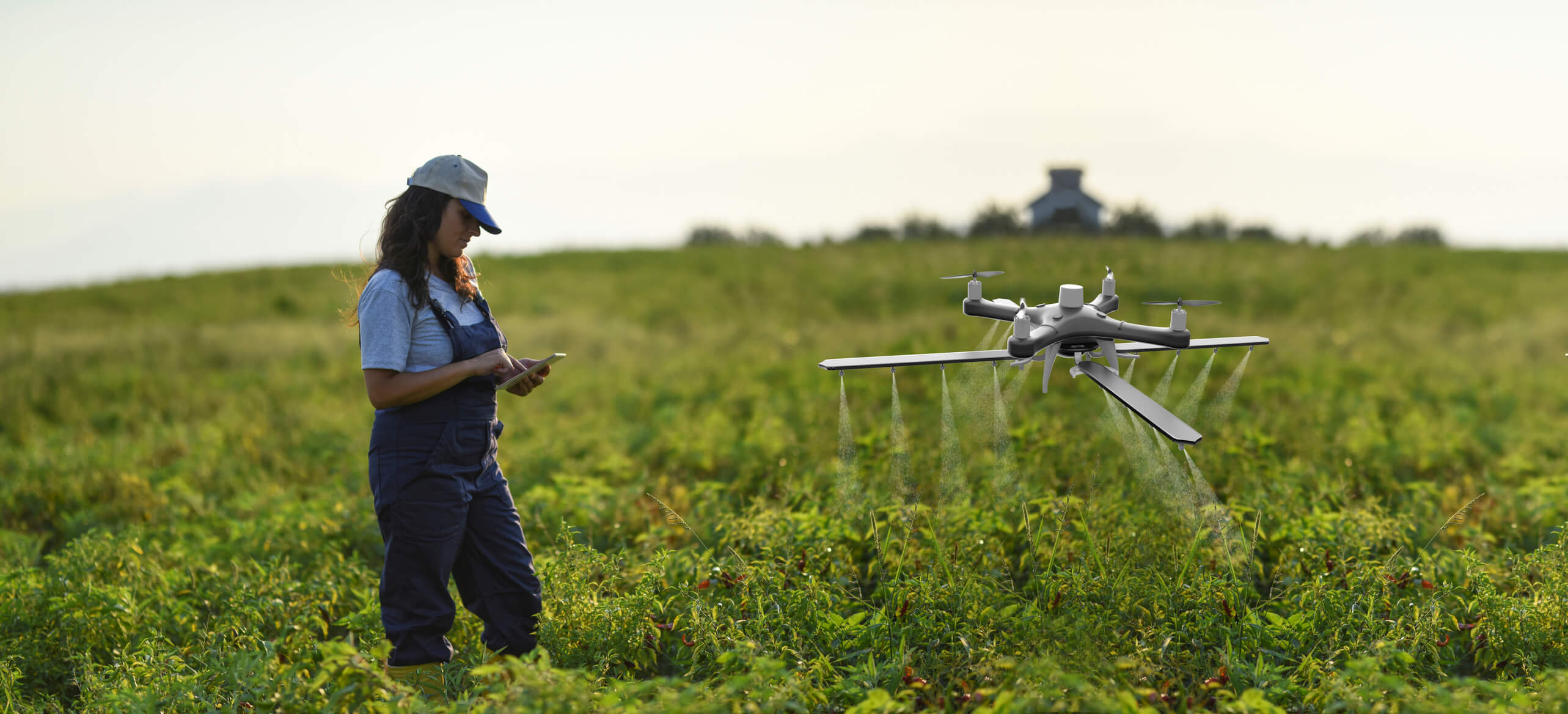 Eine Frau steuert eine Drohne auf einem Feld