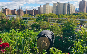 Jahresthema «Feed the City – Architekturen für ein zukunftsfähiges Ernährungssystem»