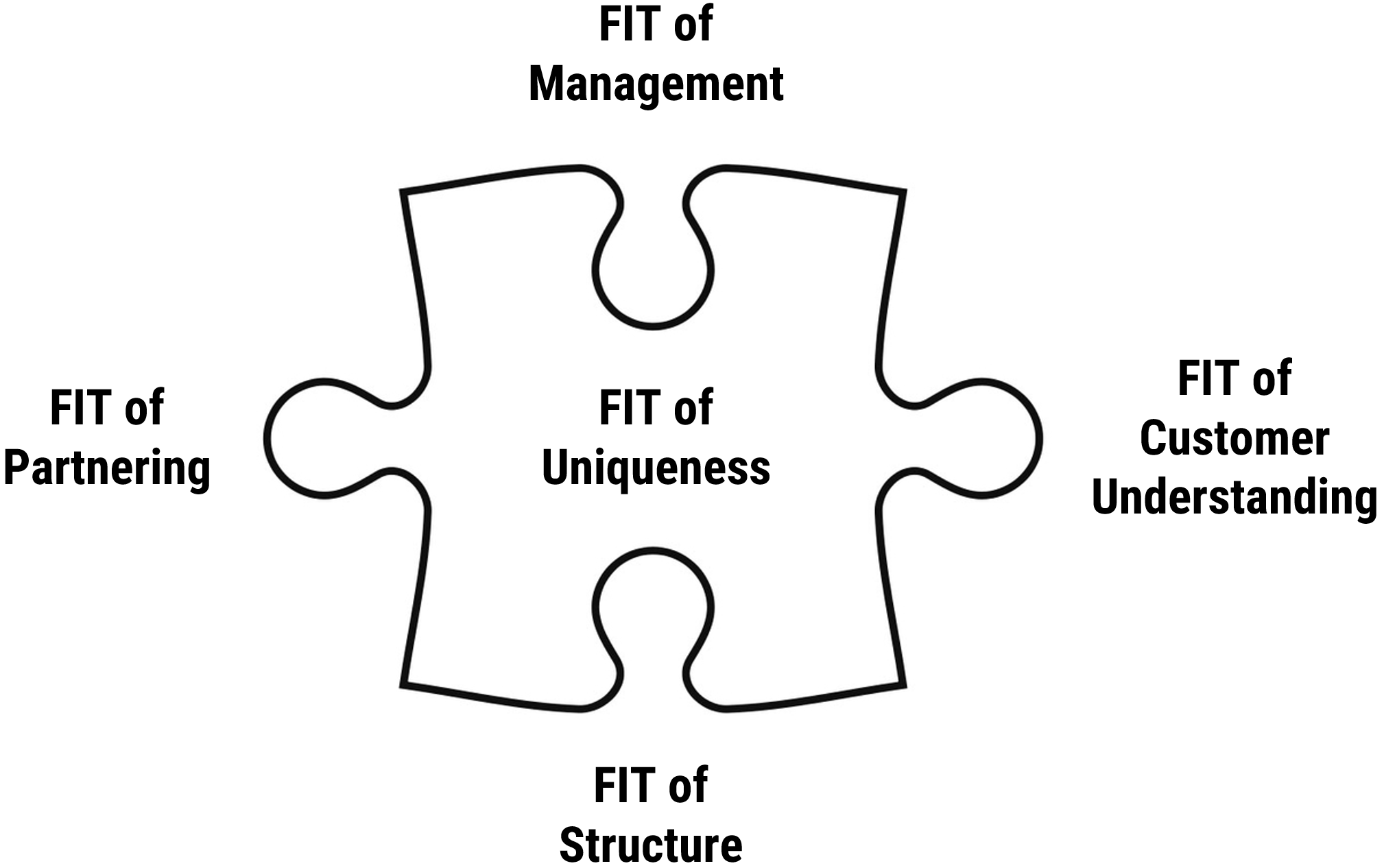 System-FIT Model