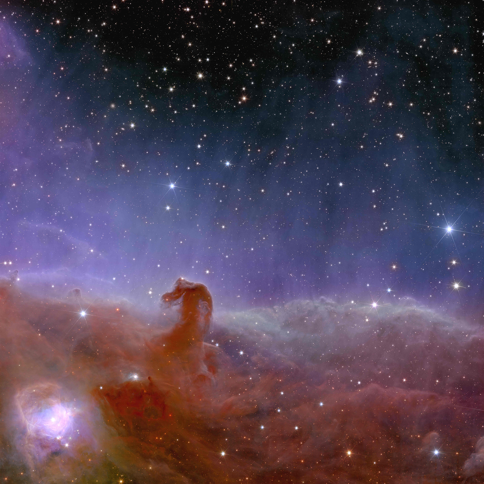 Euclid_s_view_of_the_Horsehead_Nebula.jpg