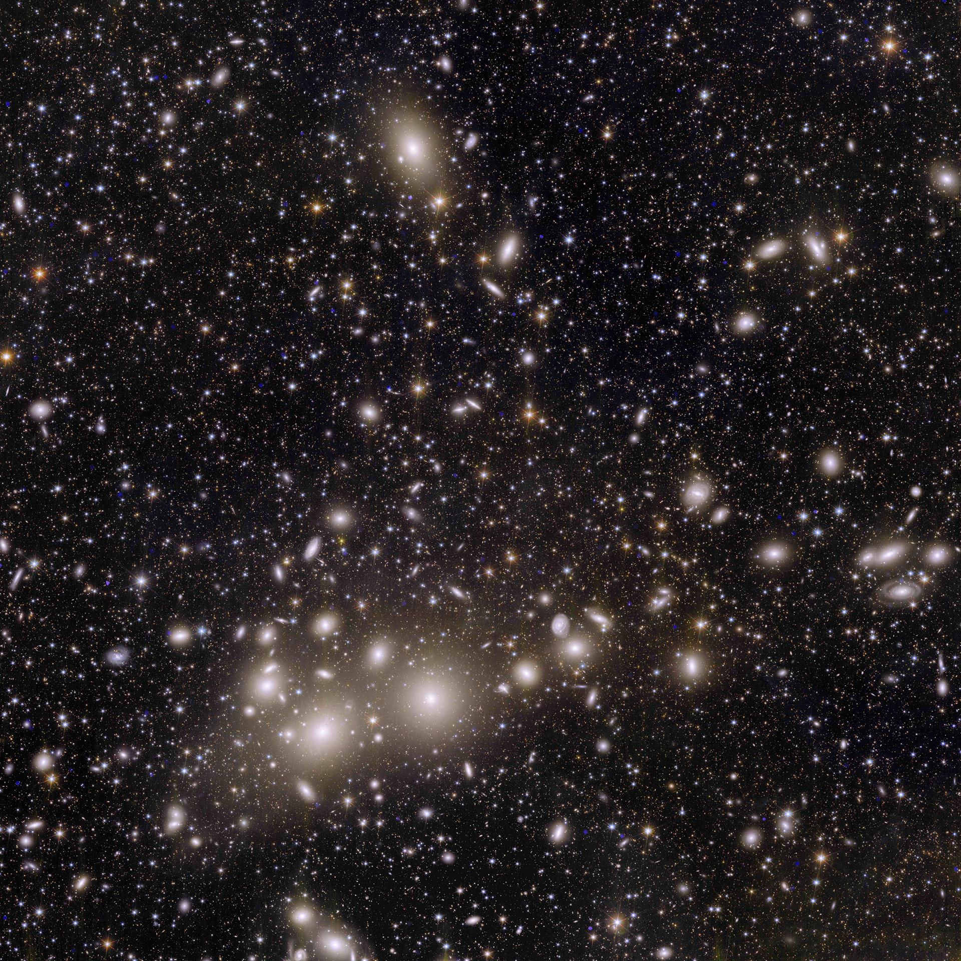 Euclid_s_view_of_the_Perseus_cluster_of_galaxies.jpg