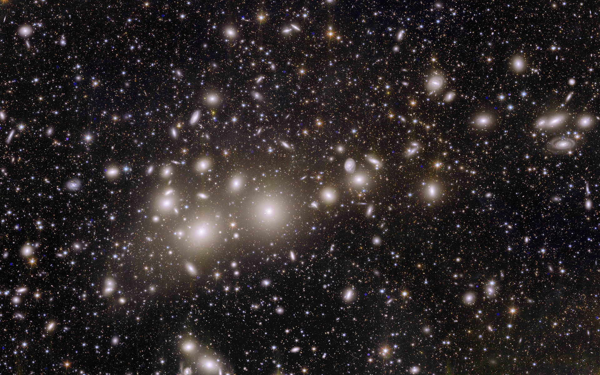 Euclid_s_view_of_the_Perseus_cluster_of_galaxies_quer.jpg