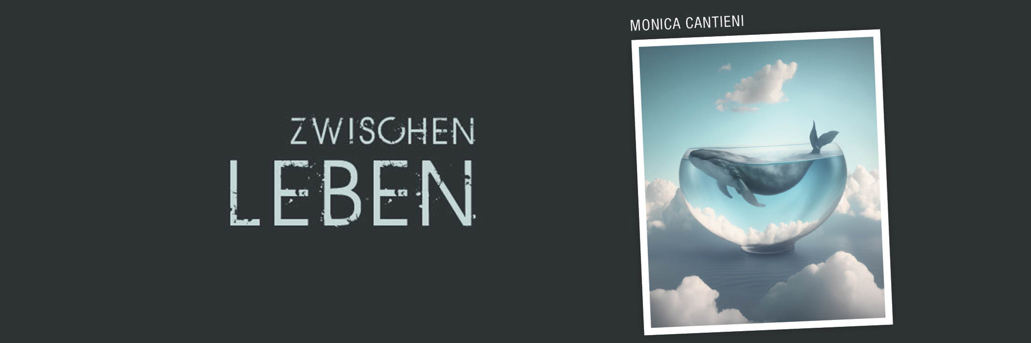 Buchcover Zwischen den Leben von Monica Cantiemi