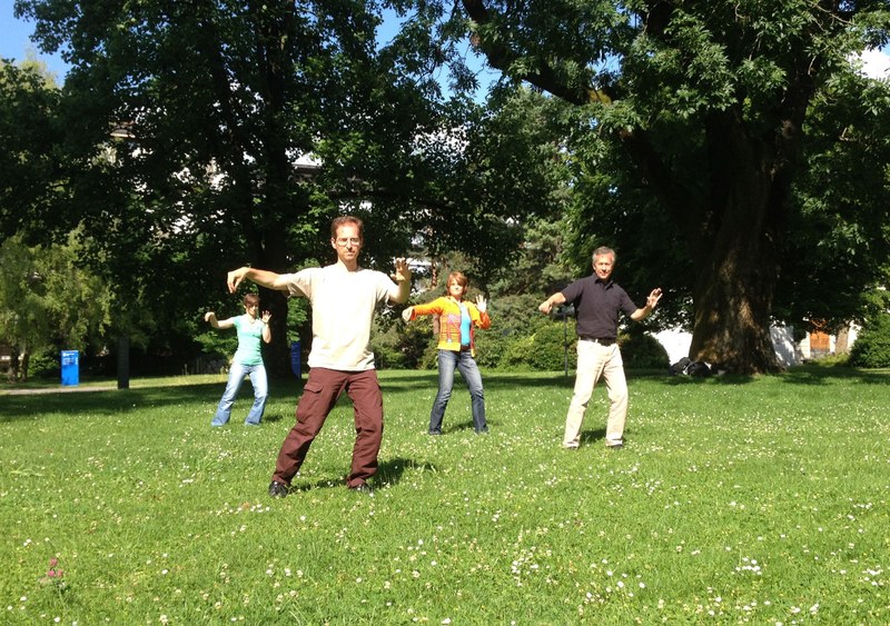 BodyMind_Taiji_EinfachePeitsche_MarkoNedeljkovic.jpg