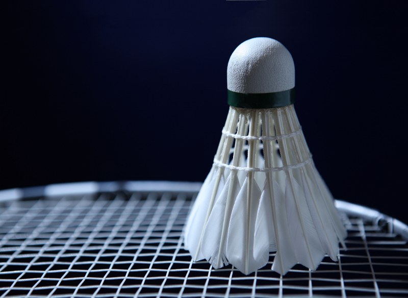 Ex_Badminton 5_plus.jpg