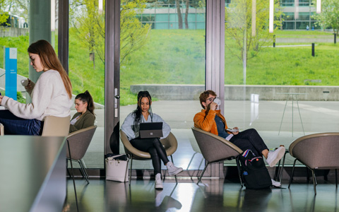 Wirtschaft studieren