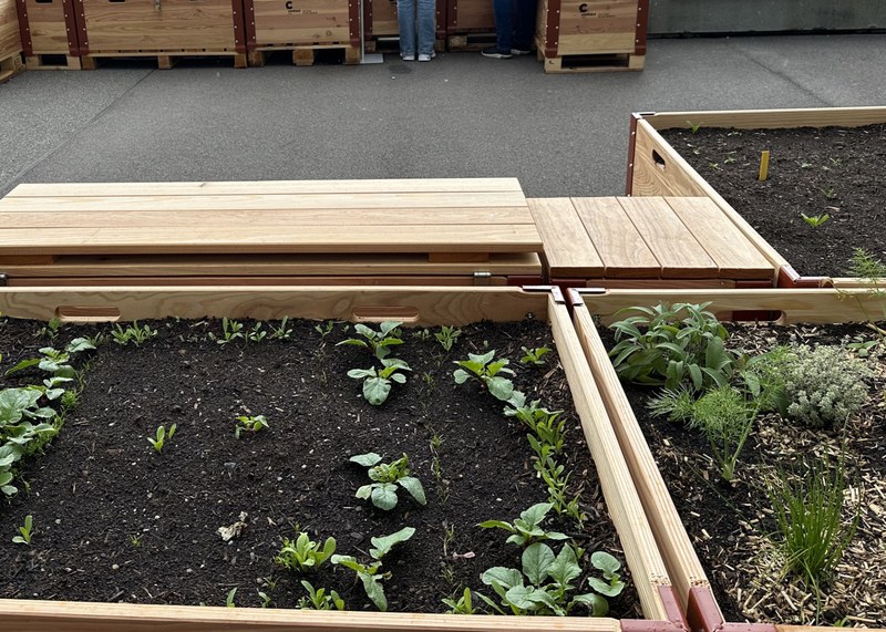 05_Bild_Klimaanpassung von Pflanzen.jpeg