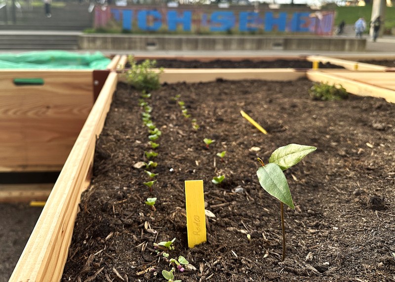 06_Bild_Pflege und Unterhalt.jpeg