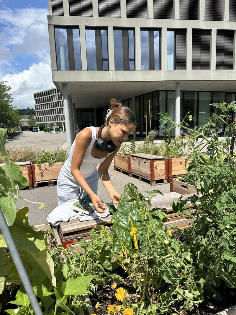 250721_Interessierte_Bobachtet die Hochbeete_.jpg