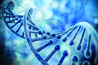 DNA- und RNA Diagnostik