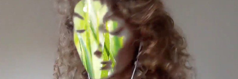 QL_leaves of grass mask_header.jpg