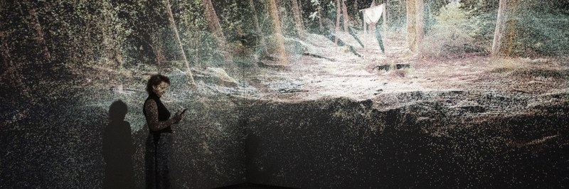 01-PurvitisPrize-AtmosphericForest@PhotoKristineMadjare_header.jpg