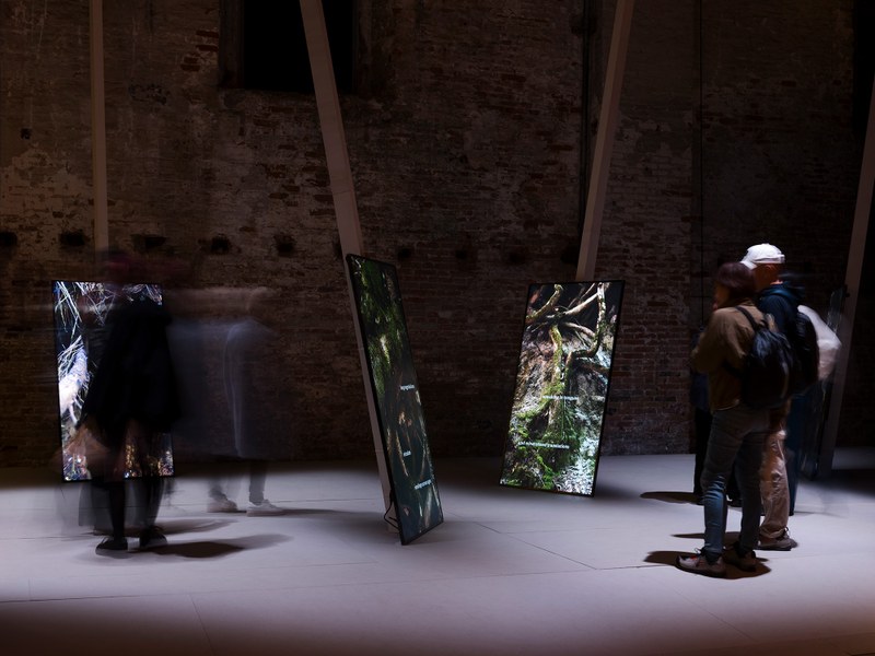 01-Uriel Orlow @ 61st Biennale Arte, photo- Renato Chorão.jpg