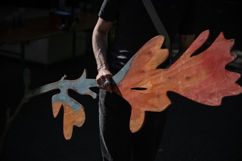 DSC_6367.jpg