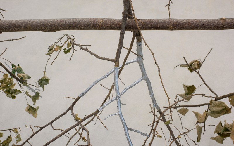 Diplomarbeit von Adriana Brantuas im Centro de Arte Contemporáneo de la Fundación María José Jove