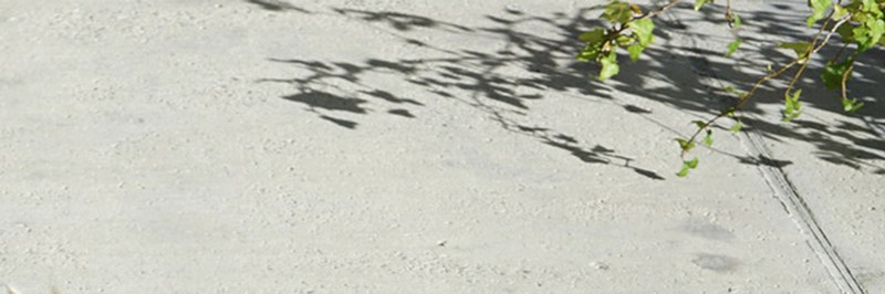 header.jpg