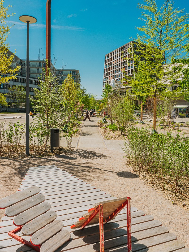 24-4-2026_FHNW_HGK_GREENING_CAMPUS_Pati-Grabowicz_LOWRES-10.jpg