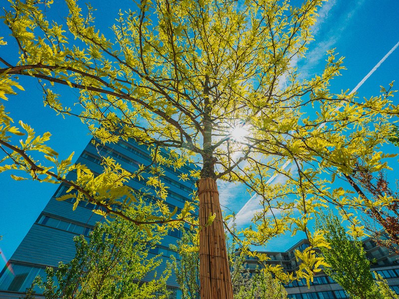 24-4-2026_FHNW_HGK_GREENING_CAMPUS_Pati-Grabowicz_LOWRES-40.jpg
