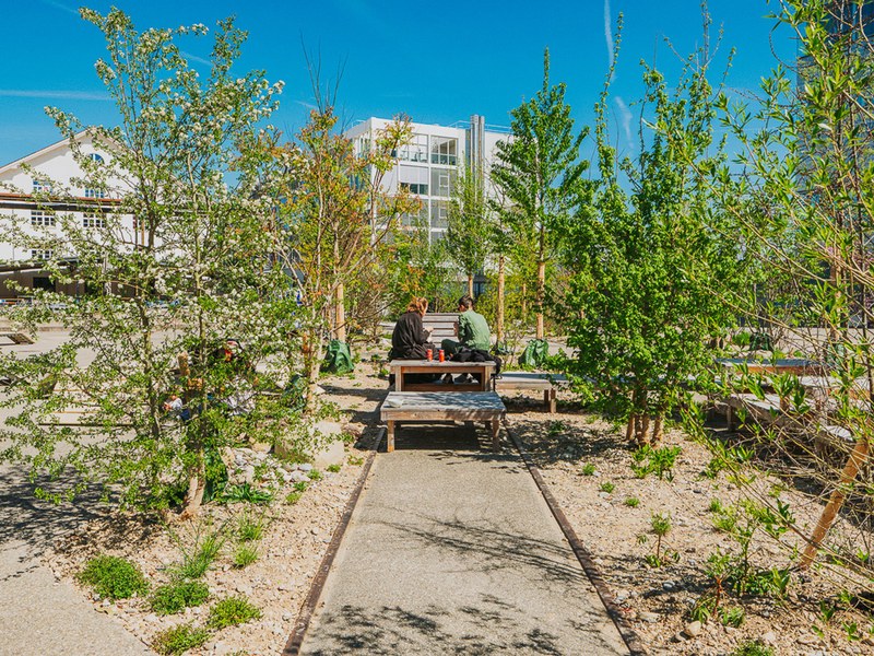 24-4-2026_FHNW_HGK_GREENING_CAMPUS_Pati-Grabowicz_LOWRES-49.jpg