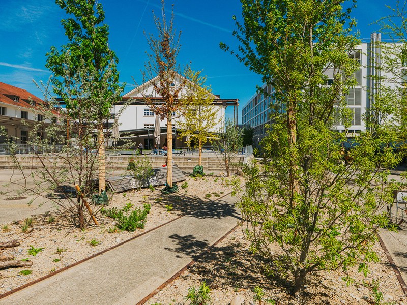 24-4-2026_FHNW_HGK_GREENING_CAMPUS_Pati-Grabowicz_LOWRES-56.jpg