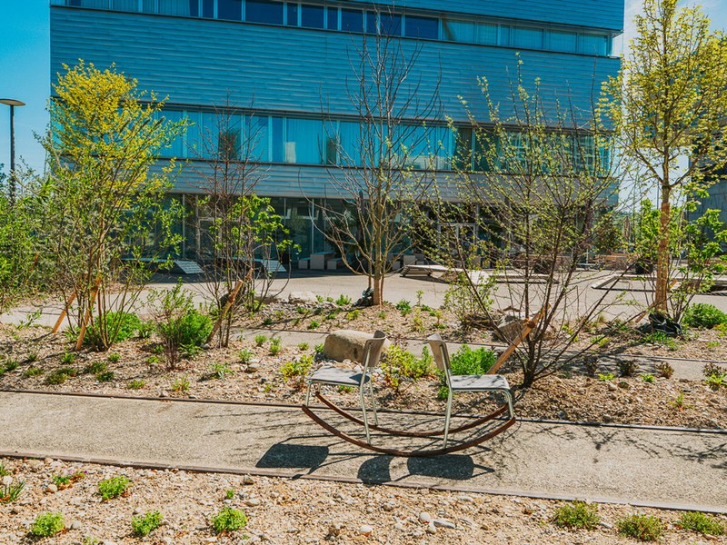 24-4-2026_FHNW_HGK_GREENING_CAMPUS_Pati-Grabowicz_LOWRES-65.jpg