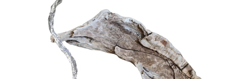 sven_gex_2021_header.jpg