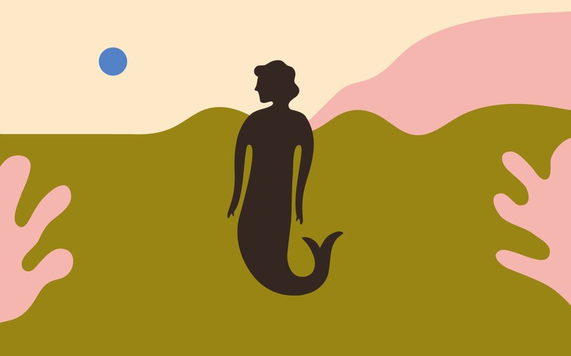 header TTTT_Web_no_text.jpg