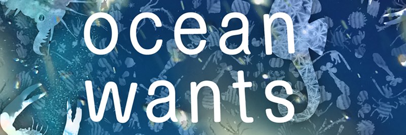 Ocean_Wants_Header.jpg