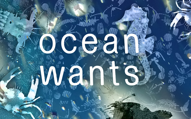 teaser_ocean_wants_teaser.jpg