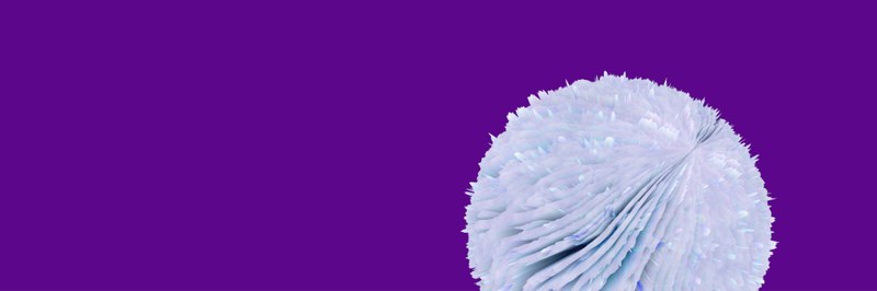 webheader_05_header.jpg