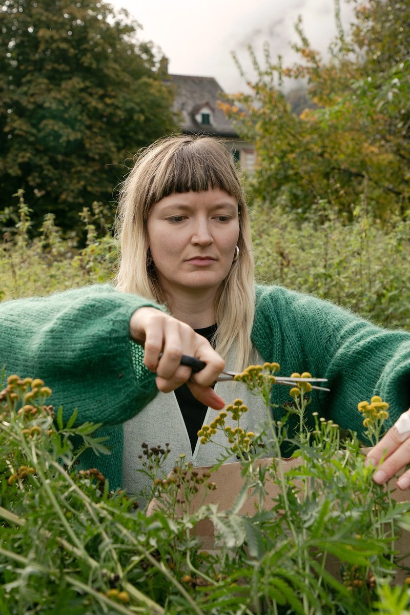 danz_mara_cutting-flowers-for-natural-dyeing_collaborarion-with-stefanie-salzmann_fabienne-inhelder_16-2000x-q95.jpg