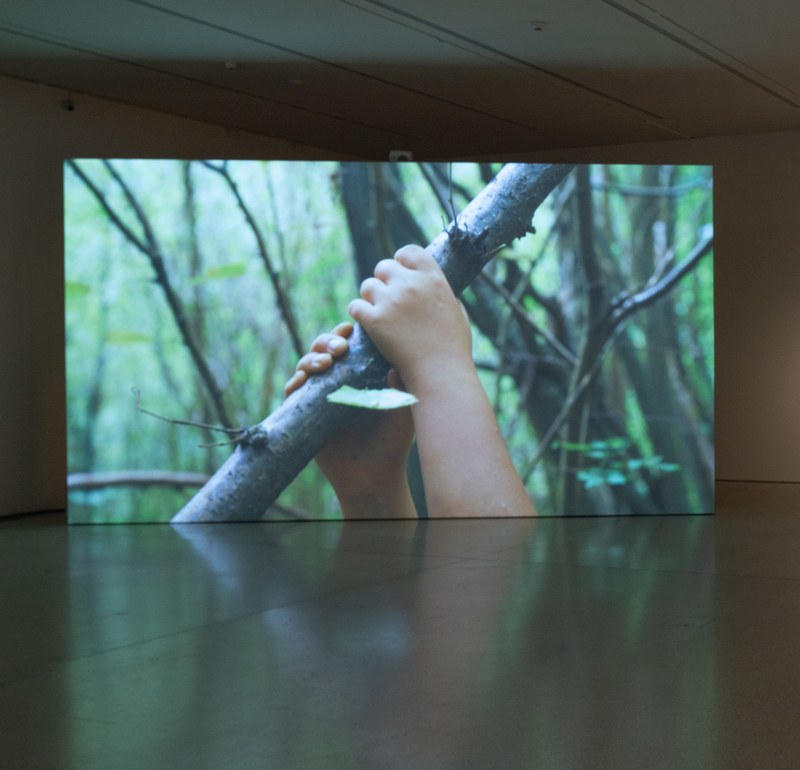 Uriel Orlow_Forest Futurism_2024_ MCBA Lausanne, 2024_Foto_Etienne_Malapert.jpg