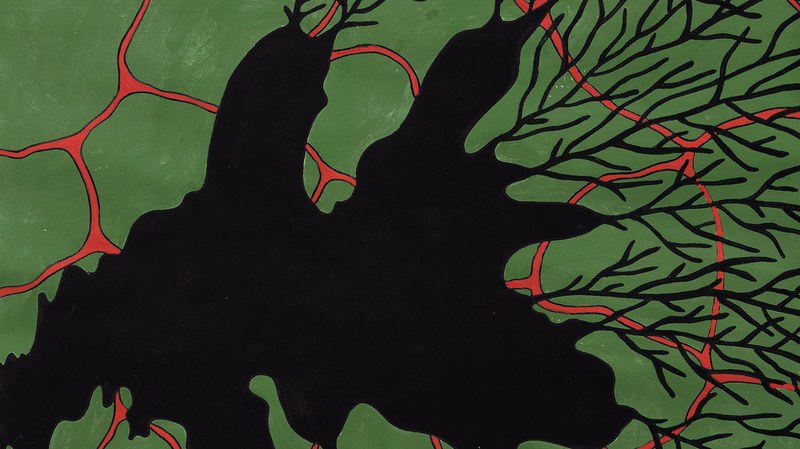 header.jpg