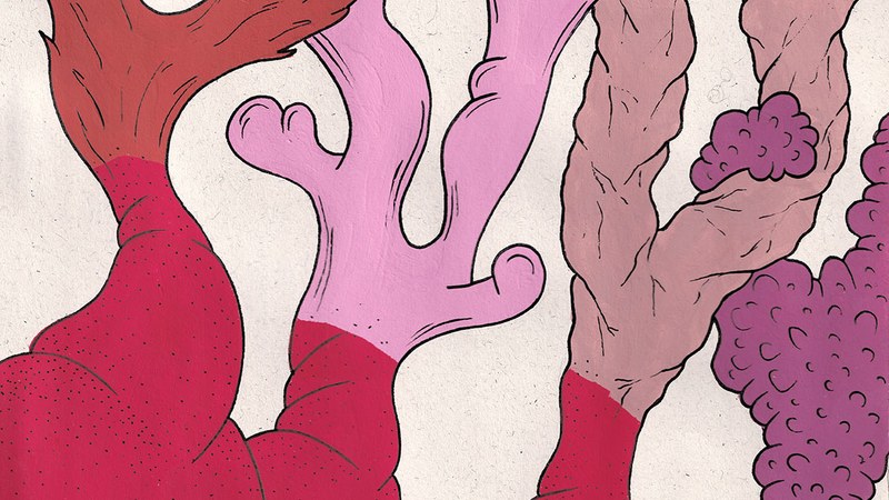 header.jpg