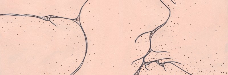Wildpaper_header.jpg