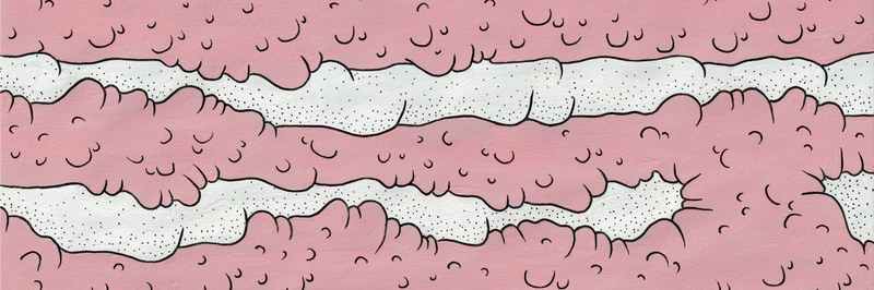 12_Header_Wildpapers.jpg