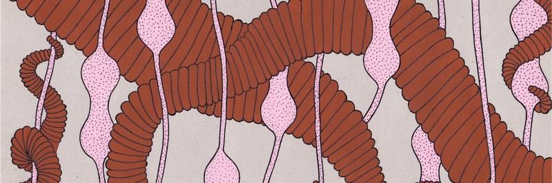 WildPapers15_header.jpg