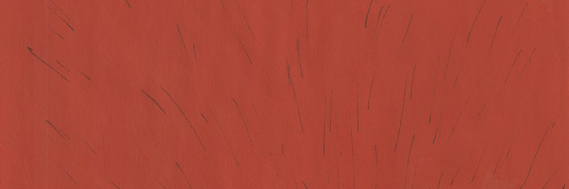 Wildpaperes_header.jpg