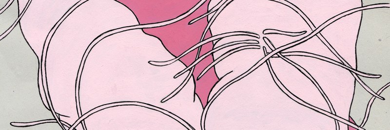 wildpapers_header.jpg