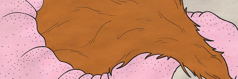 header.jpg