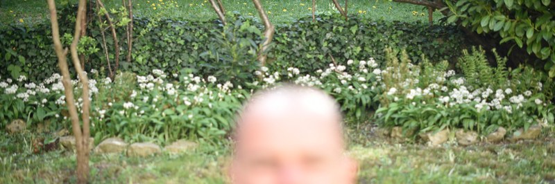 Michael_Ray-Von_eyes-over-1_header.jpg