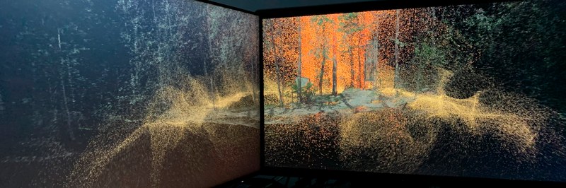 criticalzones_header.jpg