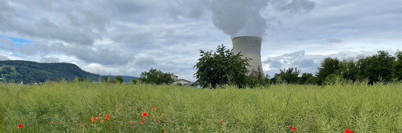 FIBL_Header.jpg