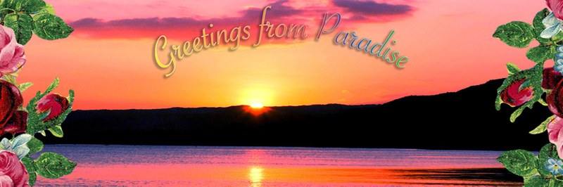 Greetings_from_Paradise_header.jpg