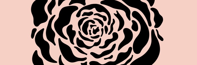 Marrie Matusz_Web Image_without text_header.jpg